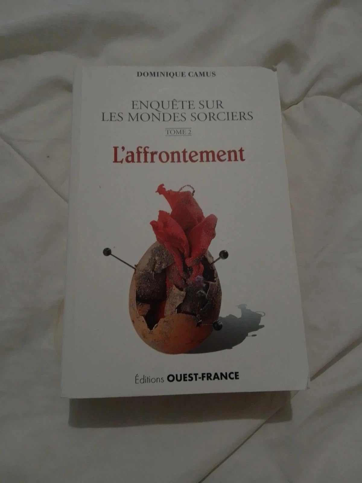 L'affrontement enquête sur les mondes sorciers Dominique camus